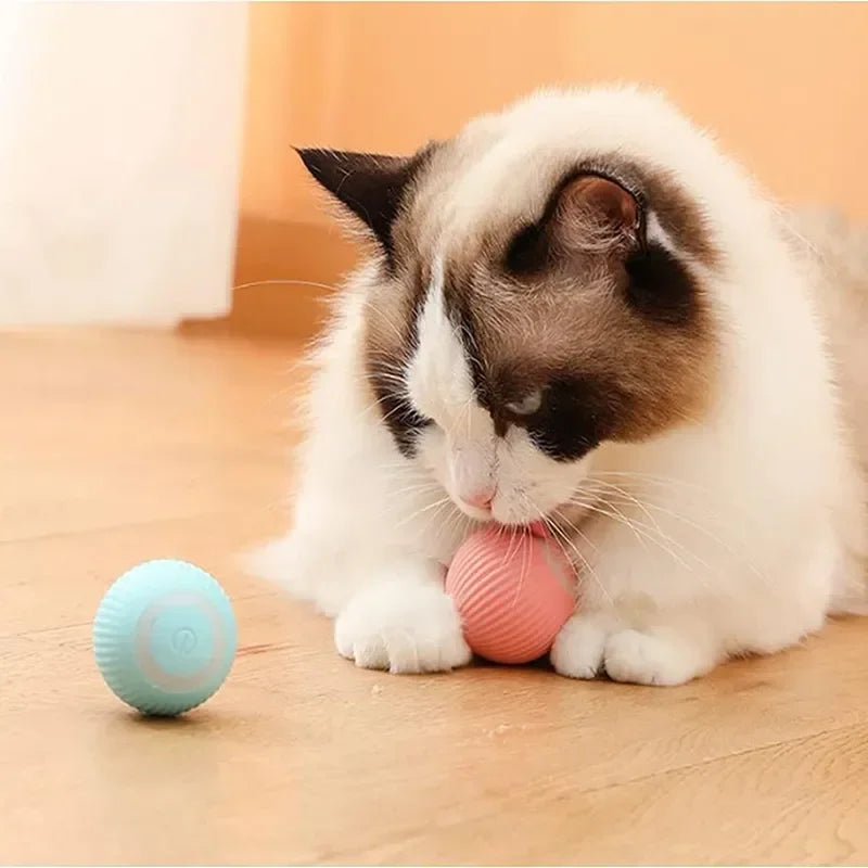 Smart Pet Ball Toy for Dogs & Cats | Interactive Play