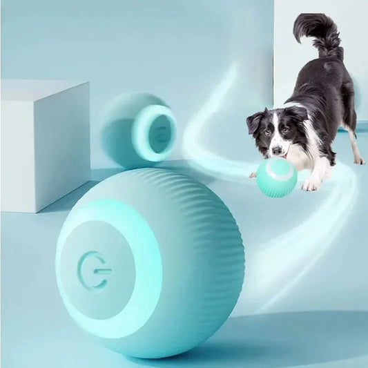 Smart Pet Ball Toy for Dogs & Cats | Interactive Play