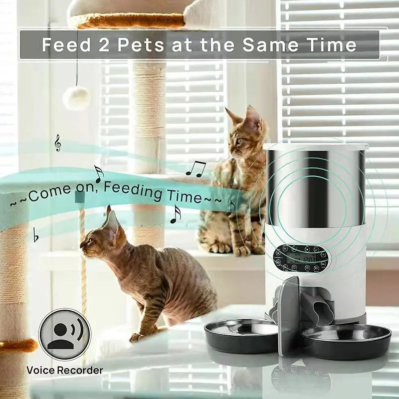 Auto Pet Feeder for Cats & Dogs